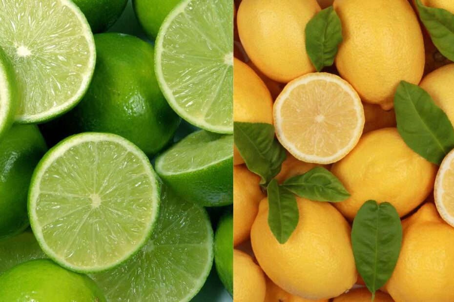 3 Tipos de Limão